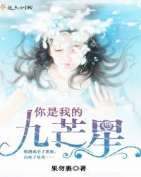 你是我的九芒星章节列表