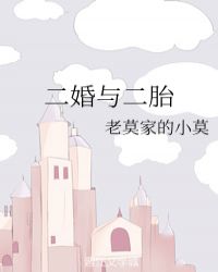 二婚与二胎章节列表