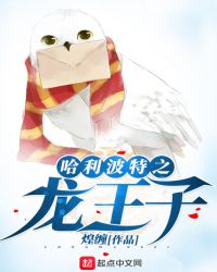 哈利波特之龙王子章节列表