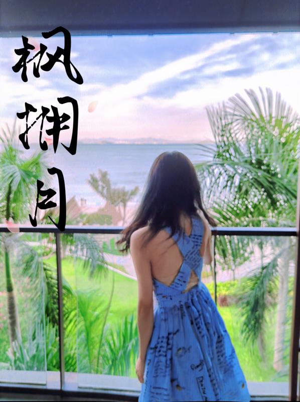 枫拥月章节列表