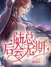 陆总，后会无期章节列表