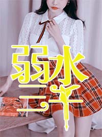 情来不自禁章节列表