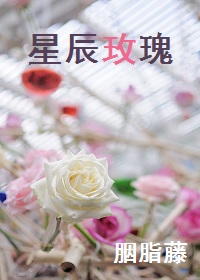 星辰玫瑰章节列表