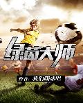 绿茵大师章节列表