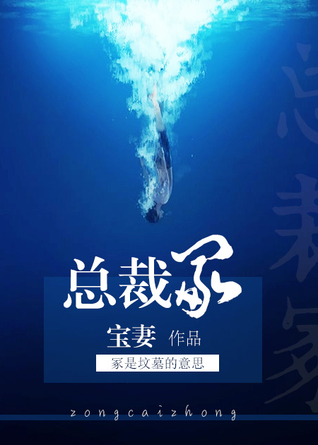 总裁冢章节列表