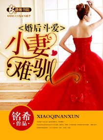 婚后斗爱之小妻难驯章节列表