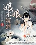 娘娘不嫁到章节列表