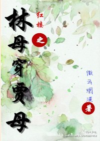 红楼之林母穿贾母章节列表