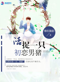 傲妻来空袭章节列表