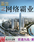 重生之网络霸业章节列表