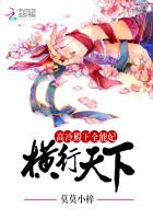 高冷殿下全能妃：横行天下章节列表