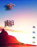 金阳章节列表