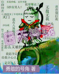 日天神威章节列表