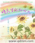 晴天里的向日葵章节列表