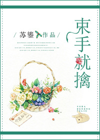 束手就擒章节列表