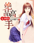 女神的绝品高手章节列表