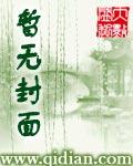 中华苍穹章节列表