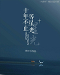 十年不止等星光章节列表