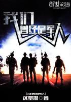 我们曾经是军人章节列表