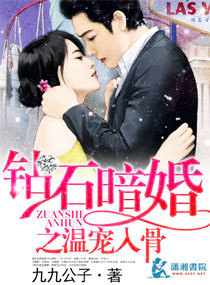 钻石暗婚之温柔入骨章节列表