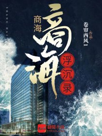 商海浮沉录章节列表