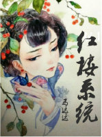 [红楼]系统章节列表