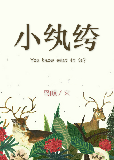 小纨绔章节列表
