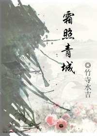 霜照青城章节列表