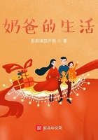 奶爸的生活章节列表