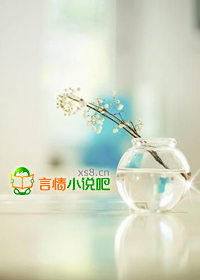 钻石总裁的再嫁妻章节列表