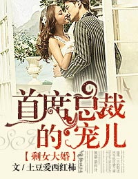 剩女大婚，首席总裁的宠儿章节列表