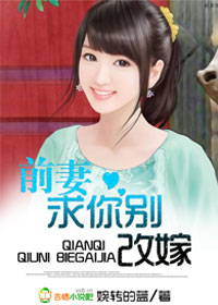 前妻，求你别改嫁章节列表