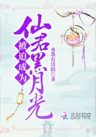 被迫成为仙君黑月光章节列表