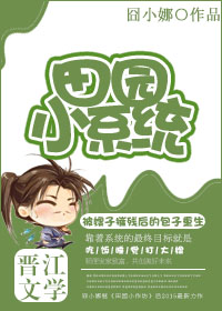田园小系统章节列表