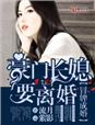 再嫁婚成，豪门总裁高冷情深章节列表