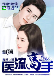 医流高手(未苍)章节列表