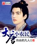 大唐小农民章节列表