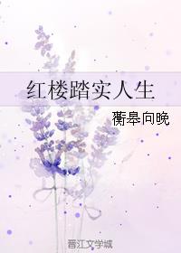 红楼踏实人生章节列表