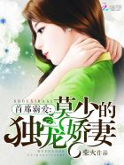 首席霸爱：莫少的独宠娇妻章节列表