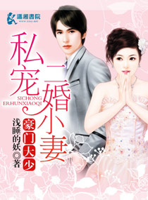 豪门大少私宠二婚小妻章节列表