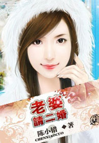 老婆，请二婚章节列表