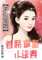 天价宠婚：首席逼婚小逃妻章节列表