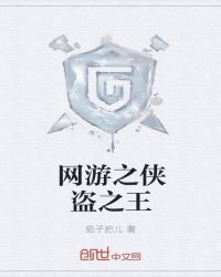 网游之侠盗之王章节列表