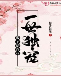 殿下请许我一世独宠章节列表