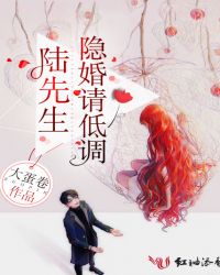 陆先生，隐婚请低调章节列表