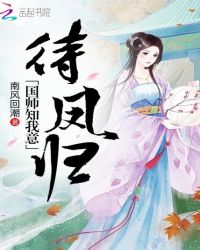 待凤归，国师知我意章节列表