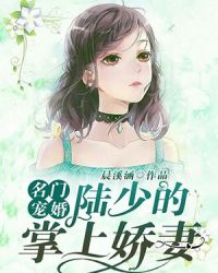 名门宠婚：陆少的掌上娇妻章节列表