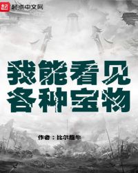 我能看见各种宝物章节列表