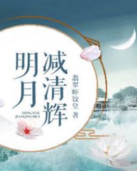 明月减清辉章节列表