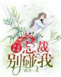 孕妻不乖:总裁别碰我章节列表